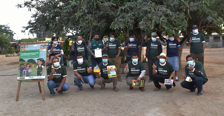 Iniciarán acciones para el control y erradicación de las moscas de la fruta