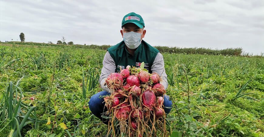 Arequipa: Senasa colectará 1,184 muestras de alimentos agropecuarios