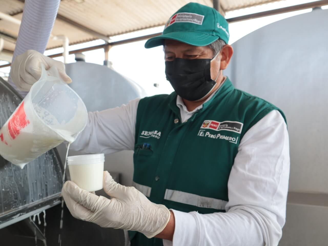 Senasa certifica 17 establos de ganado lechero libres de brucelosis bovina