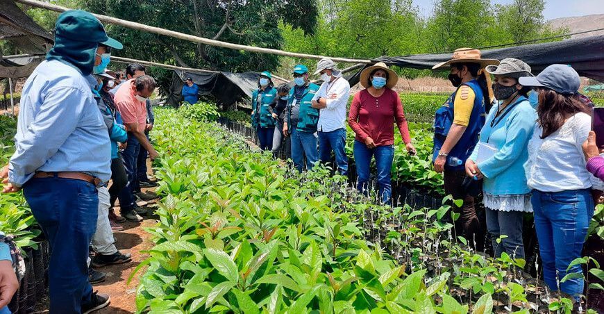 Pequeños productores huancavelicanos se beneficiaron con pasantía en Ica