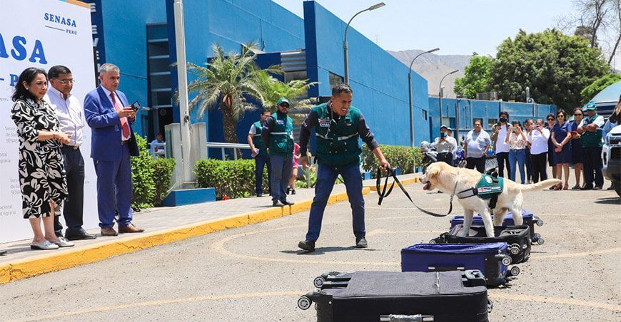 Senasa presenta su renovada brigada canina Perú