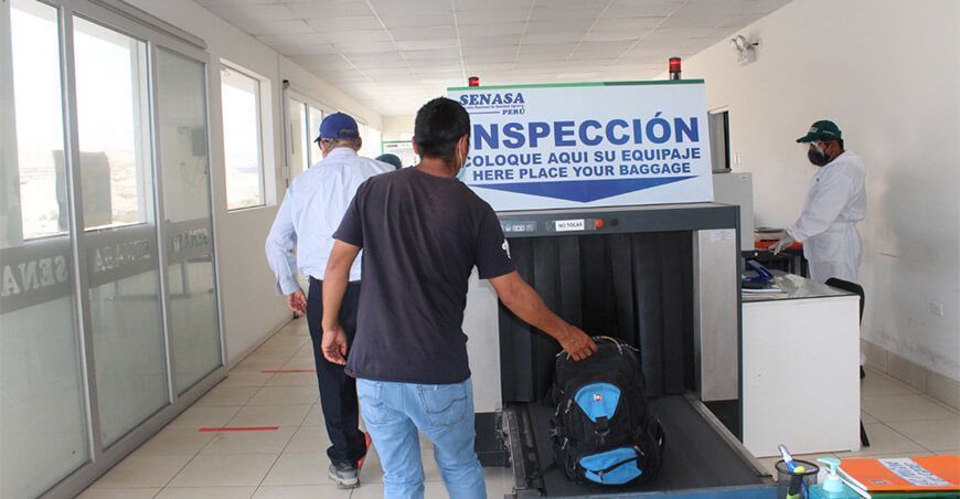 Senasa puestos de control mosca de la fruta
