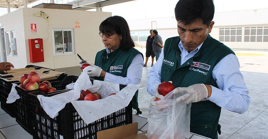 Senasa puestos de control Perú