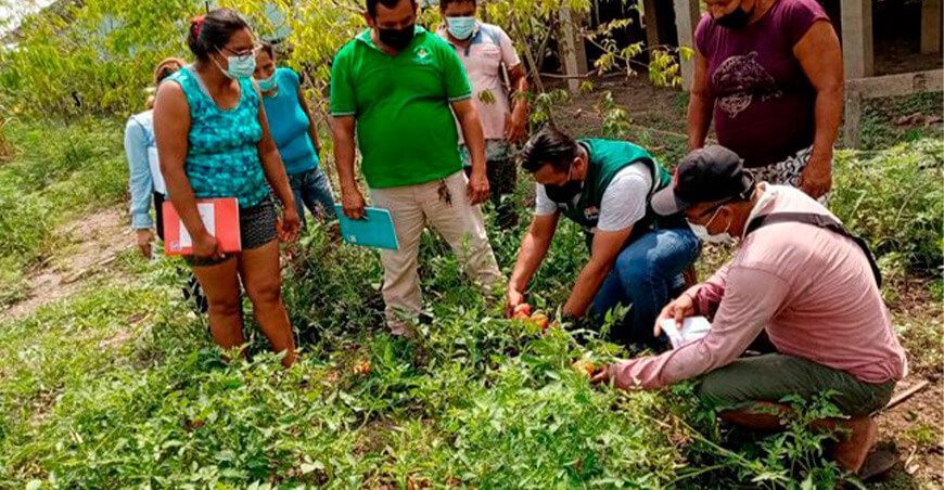 Senasa promueve la inocuidad agroalimentaria en Ucayali