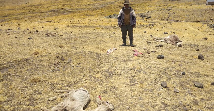 sequía déficit hídrico Apurímac Ayacucho Arequipa