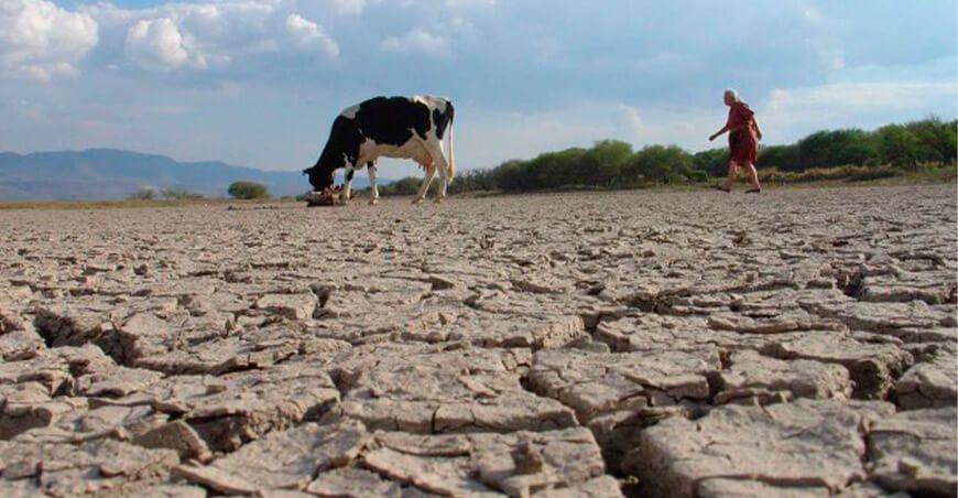 Sequía y degradación de suelos FAO