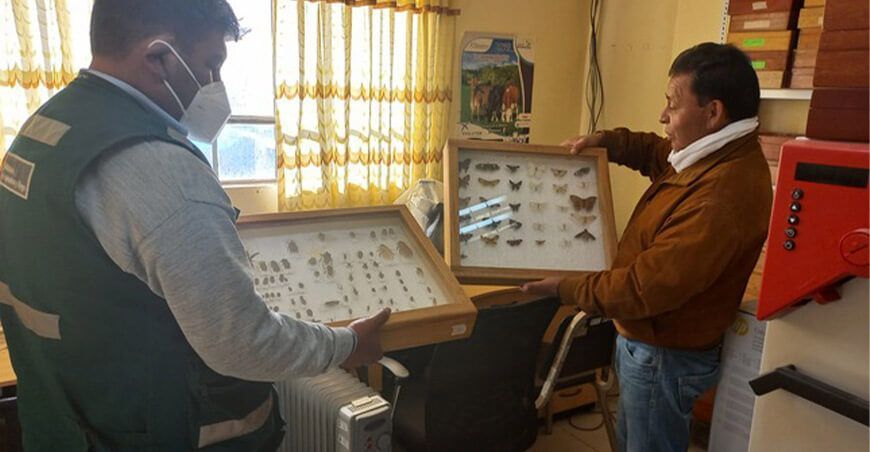 Dos instituciones de Puno son autorizadas para albergar colecciones biológicas de flora y fauna silvestre