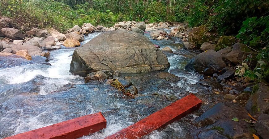 Serfor decomisó pies tablares de cedro