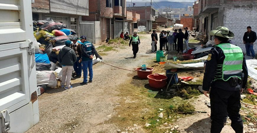 Serfor decomisa musgo en Huancayo