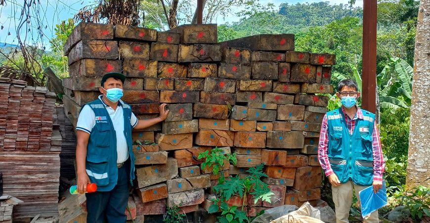 Serfor decomisó más de 7 mil pies tablares de madera de procedencia ilegal