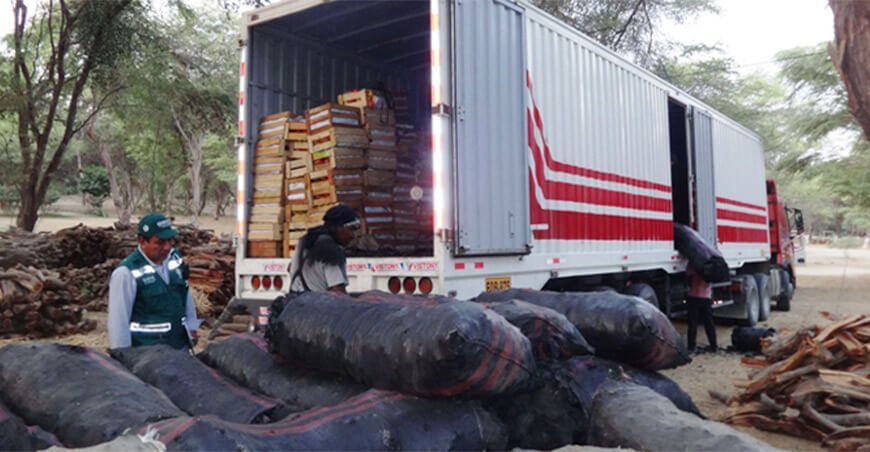 Serfor decomisó carbón de algarrobo