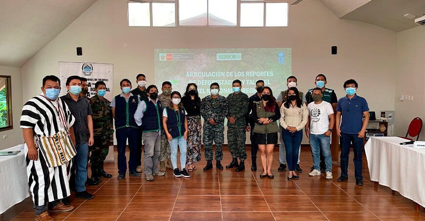 Supervisan deforestación de bosques en Ucayali