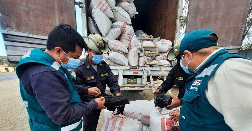 Serfor decomisó más de 10 toneladas de carbón de algarrobo en Lambayeque