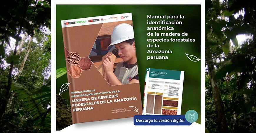 Manual para la identificación anatómica de la madera de especies forestales de la Amazonía