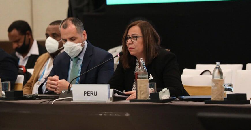 Perú se adhiere a declaración conjunta sobre bosques en reunión de ministros en material forestal de APEC
