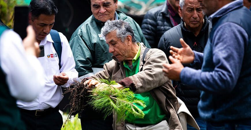 Serfor intercambia experiencias para promover plantaciones forestales maderables a nivel nacional