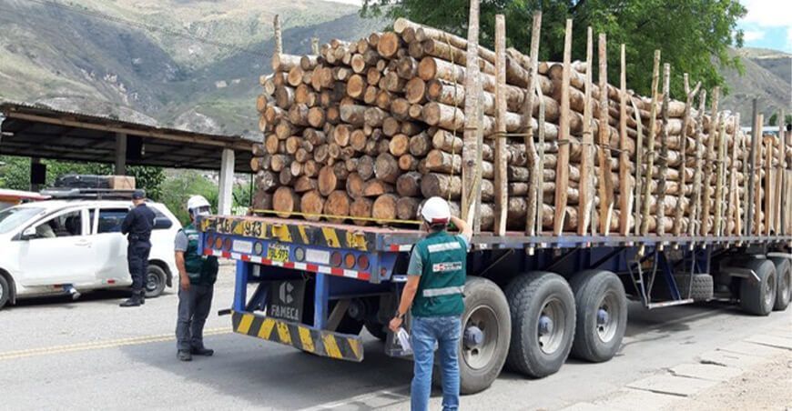 puesto de control forestal maderable Serfor Cajamarca