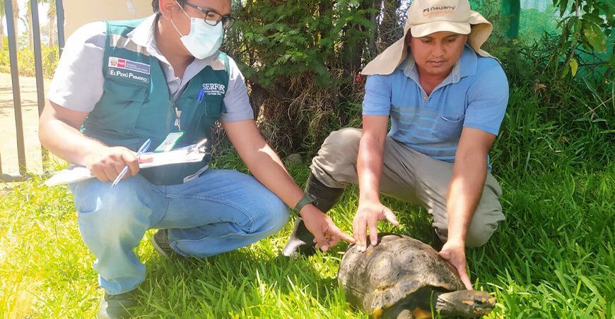 Serfor rescató animales silvestres Perú