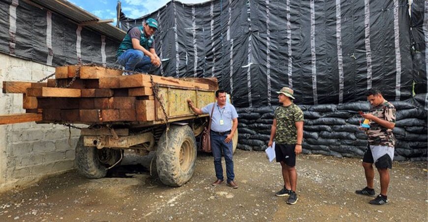 Serfor intervino pies tablares de madera aserrada en Chanchamayo