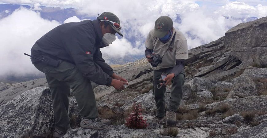 Lanzan concurso de becas para investigaciones en áreas naturales protegidas