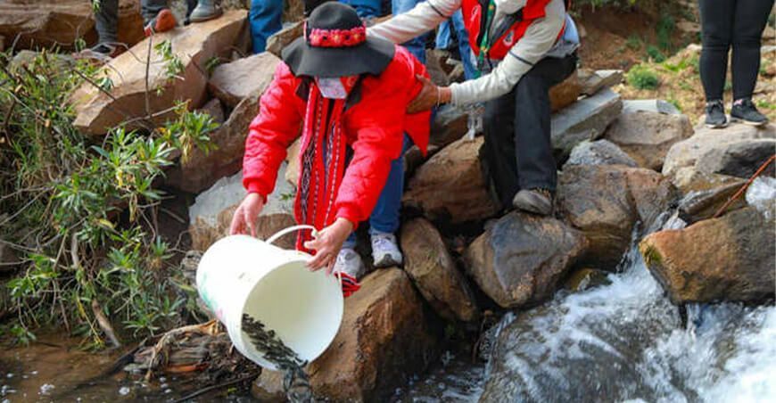 Ayacucho: Siembran 33 mil alevines de trucha en Sucre y Vilcas Huamán