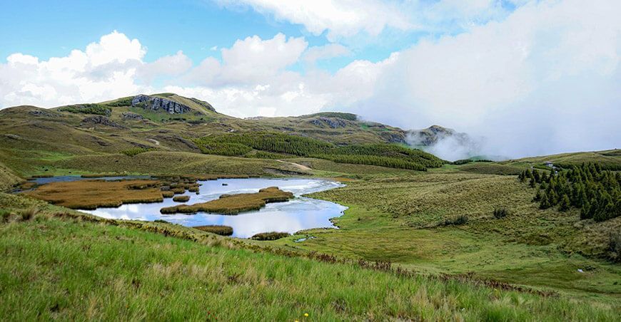 Siembra y cosecha de agua qochas Cajamarca Perú