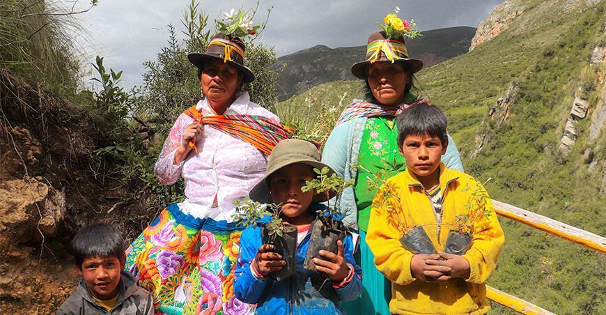 Siembran plantones forestales queñual Ayacucho Perú 
