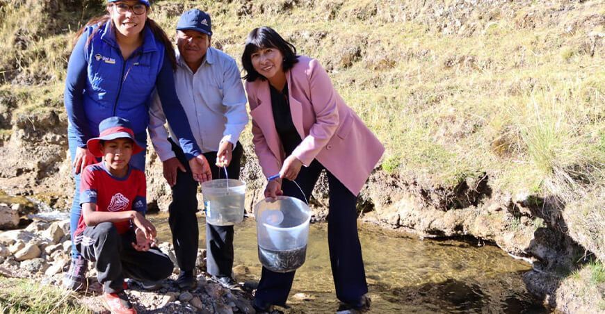 siembran alevinos truchas Pasco Perú