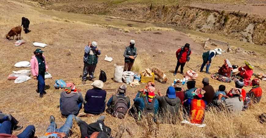 INIA instala germoplasma de oca, olluco y mashua en Cusco