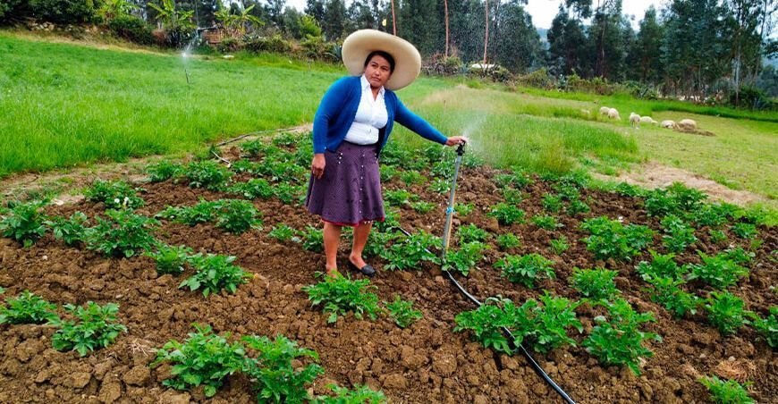 sistema riego por aspersión Cajamarca Perú