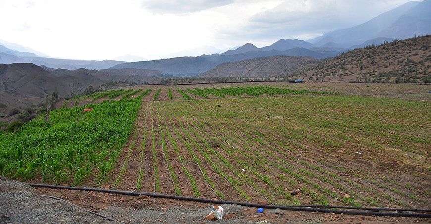 riego por aspersión reservorios Siembra y Cosecha de Agua La Libertad