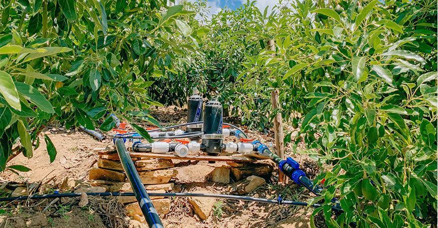 entregan sistema de riego por goteo a productores de palta en Apurímac