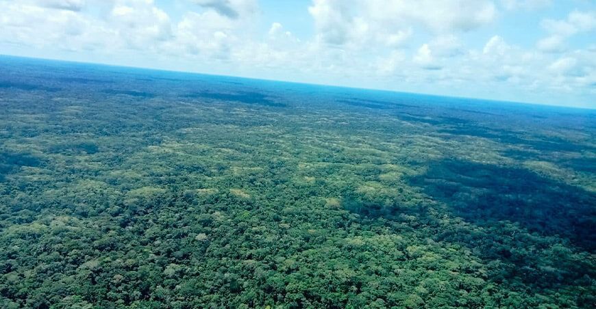 Sobrevuelo en la Reserva Nacional Matsés 