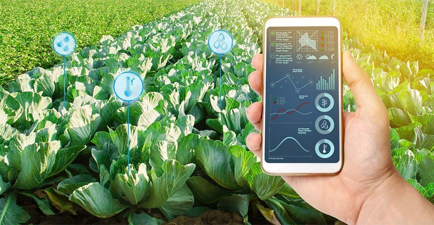 Soluciones digitales en la agricultura