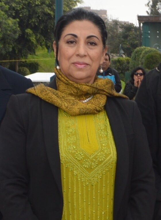 Propuesta de la Ing. Sonia Salas Domínguez, presidenta de Redar Perú