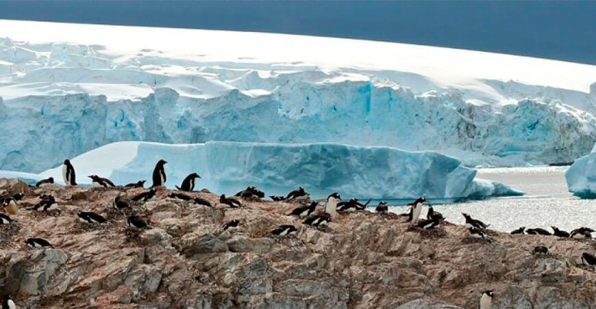 Islas de la Península Antártica muestran significativa pérdida de masa de hielo