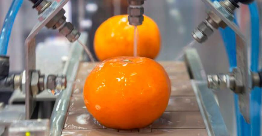 Startup peruana logra alargar la vida útil de los alimentos