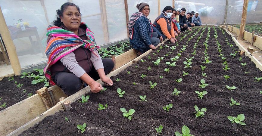 Agencias agrarias ejecutarán 15 subproyectos en Junín