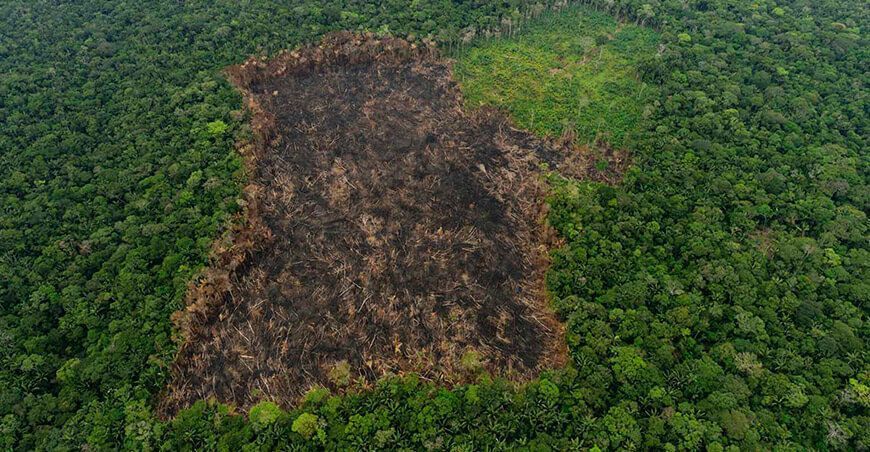 importancia del manejo del suelo en la Amazonía peruana