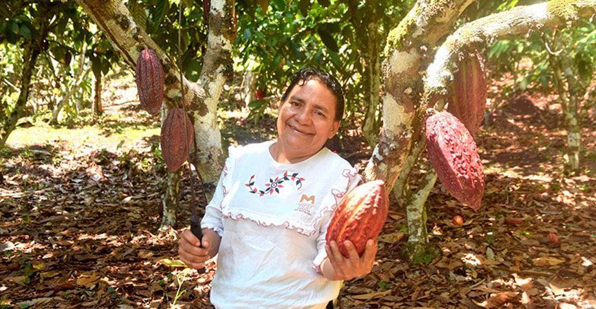 Ayli Quinteros es la mejor productora agrícola de premios Summum 2023