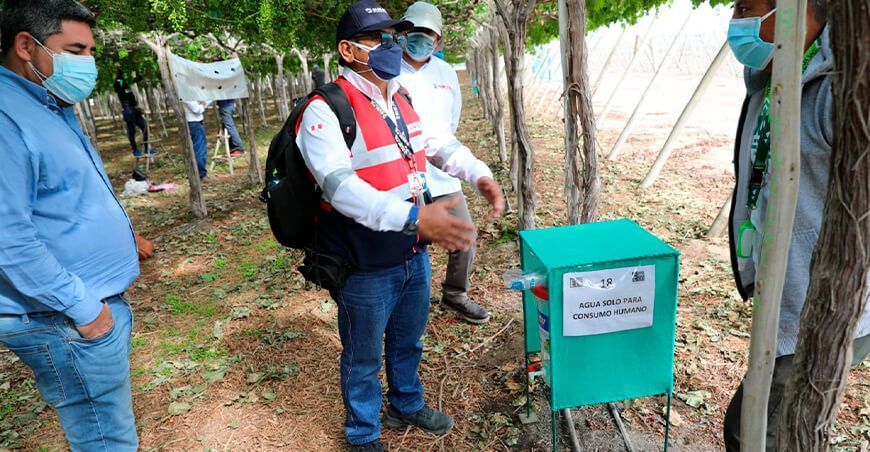 18 mil trabajadores agrarios se beneficiaron con inspecciones de Sunafil