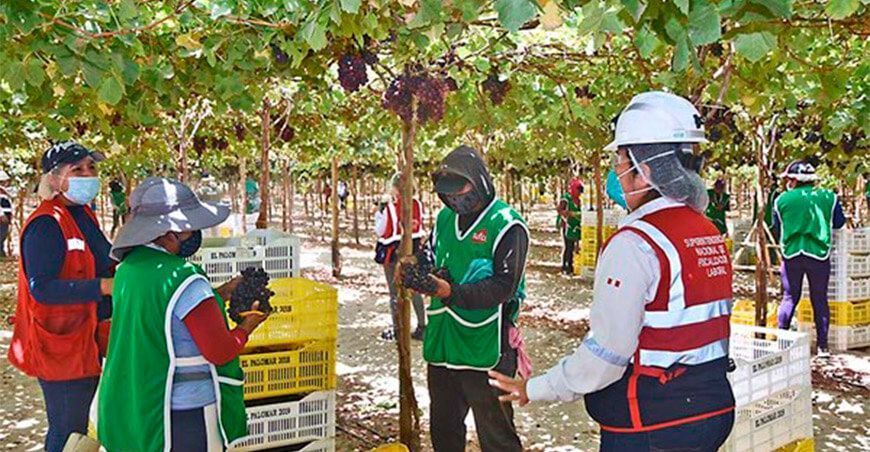 AGAP y Sunafil se unen para capacitar a productores agrarios