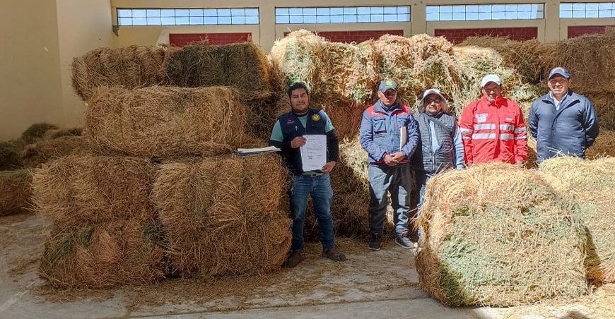 Distribuyen pacas de heno en zonas altoandinas de Tacna