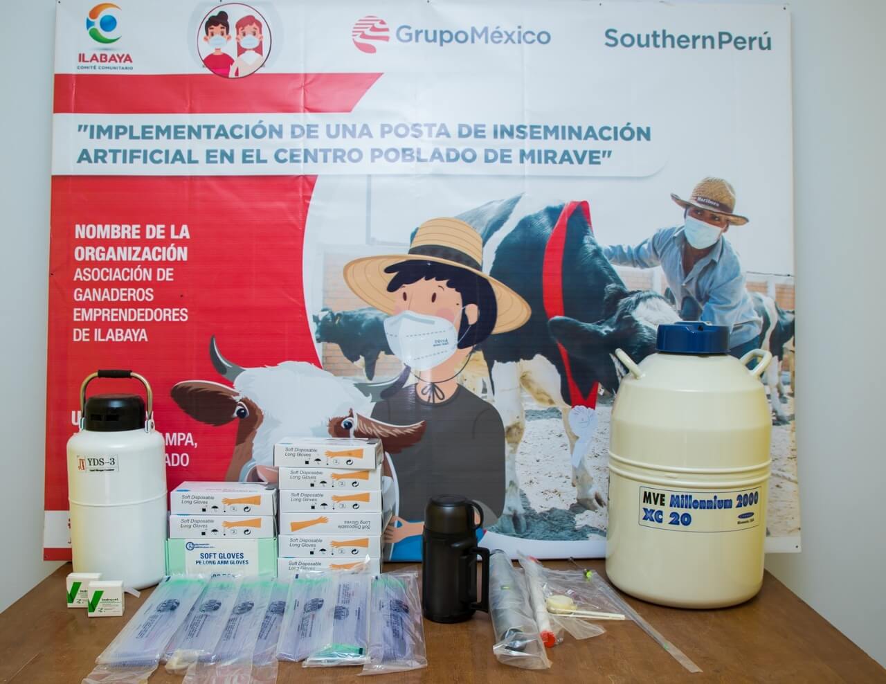 Tacna: instalarán posta de inseminación artificial pecuaria