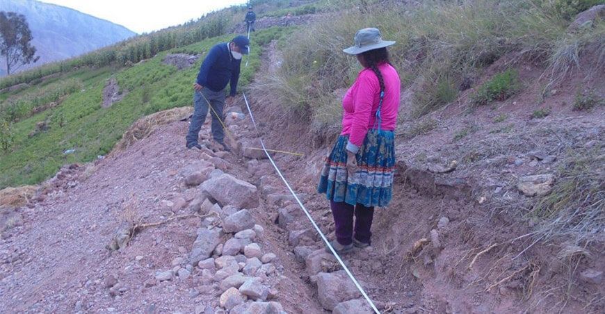 Tacna: Rehabilitan andenes para convertirlos en suelos agrícolas de alta productividad