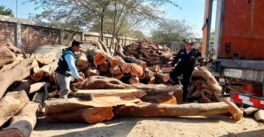 tala ilegal de madera faique Serfor Piura