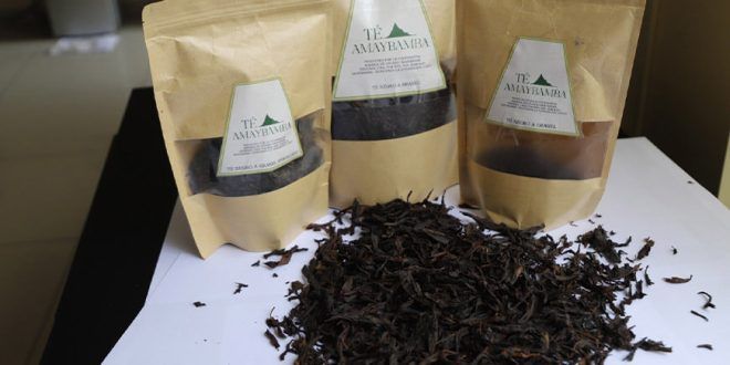 el té negro de la Cooperativa Agraria Amaybamba-Pistipata gana medalla en Paris