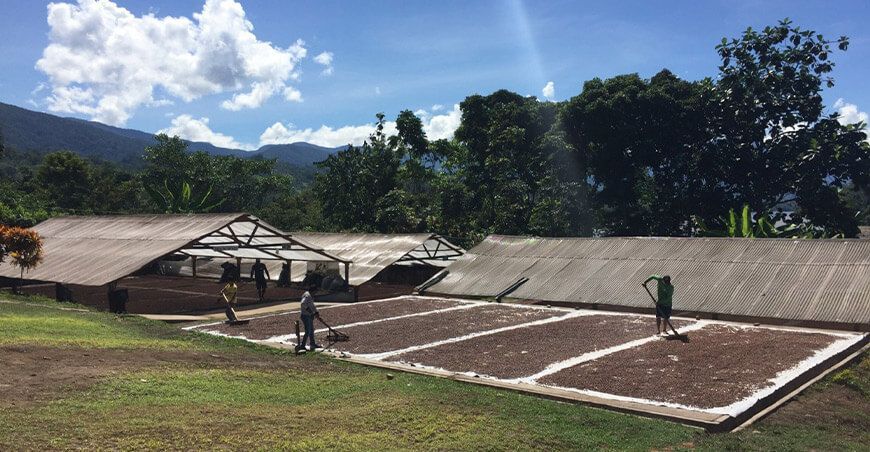 Tecnologías emergentes para mejorar los procesos de producción agrícola en la Amazonía