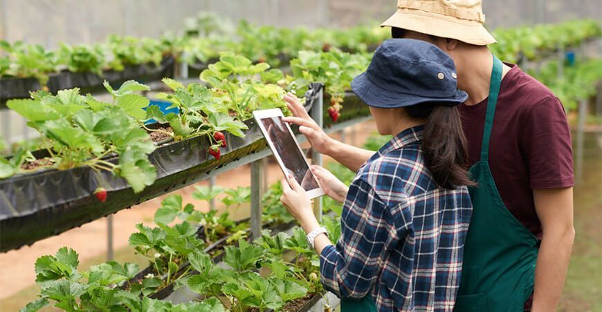 Tecnología como herramienta para potenciar la agroindustria