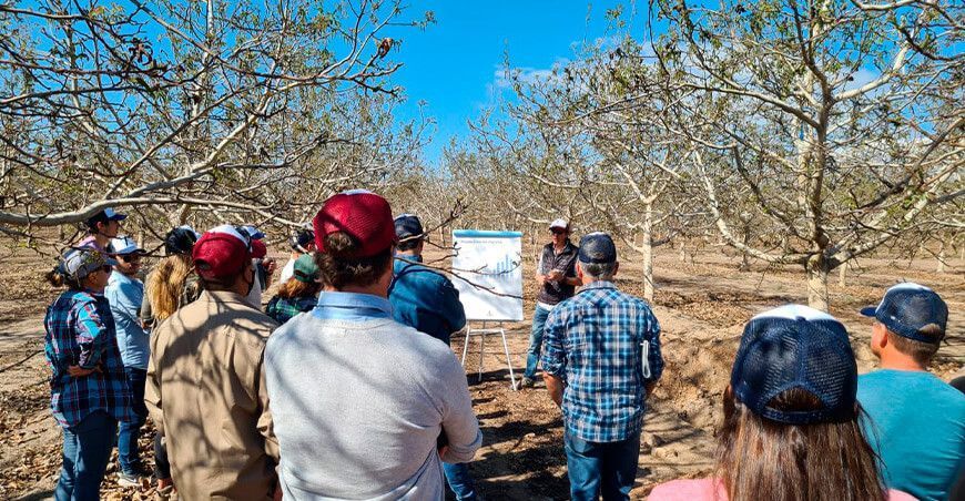 cuatro tendencias tecnológicas que vienen impactando en la agricultura